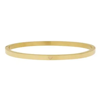 Amiek Bangle Bracelet Heart armband goud waterproof