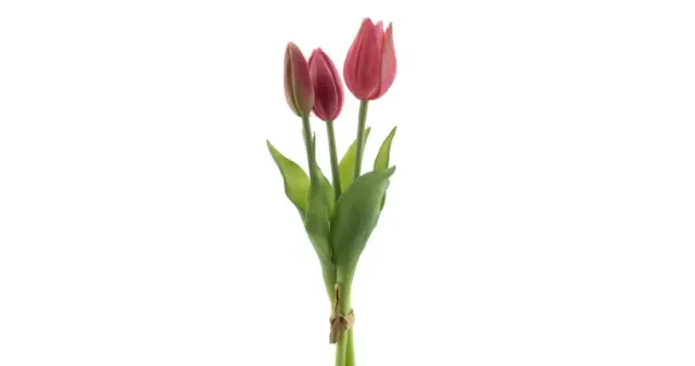 Amiek Real Touch tulpen beauty 3 stuks