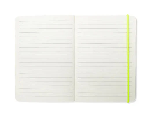 Amiek Note Of A Genius Notebook kleurrijk