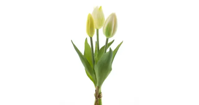 Amiek Real Touch tulpen cream 3 stuks 25cm