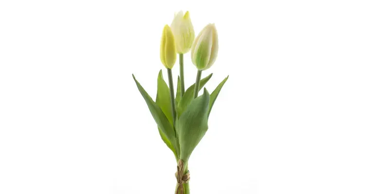 Amiek Real Touch tulpen cream 3 stuks 25cm