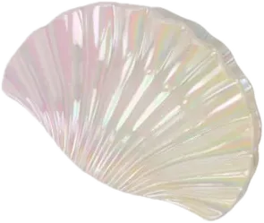 Amiek Mermaid hairclip roze schelp parelmoer