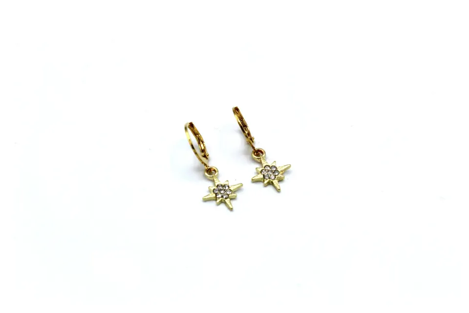LOVEDRUNKY Hoops Star oorbellen goud met ster