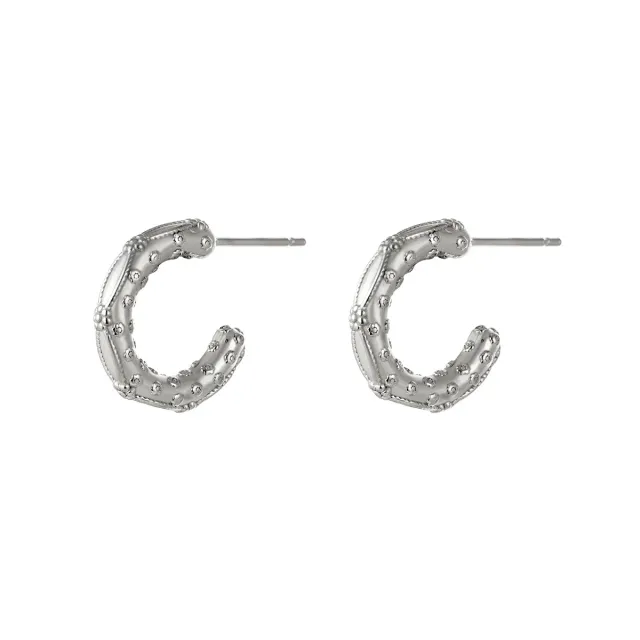 LOVEDRUNKY Steel oorbellen zilver 1,9 cm klein