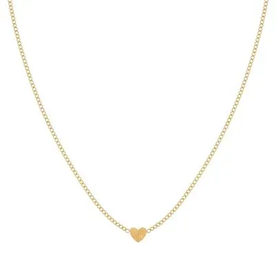 Amiek Flamed Heart ketting goud 42 cm staal