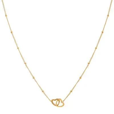 Amiek Share Hearts ketting stainless steel