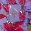 Amiek T'is gewoon Kut kaars roze cadeausetje